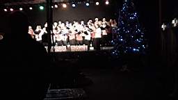 DSC01537.jpg