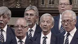 b19.jpg