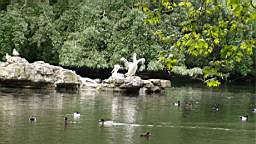 2/Dsc08919.jpg