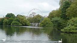 2/Dsc08925.jpg