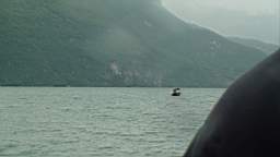 bat15.JPG