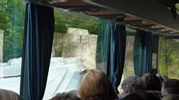 bus4.JPG